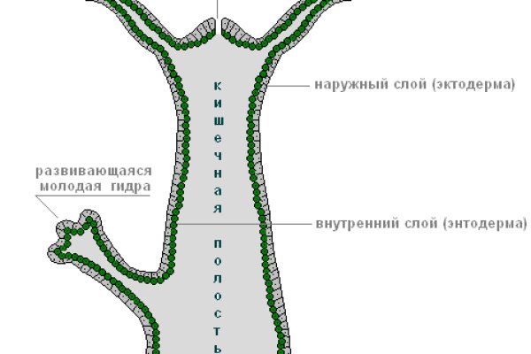 Где взять ссылку на кракен kraken014 com